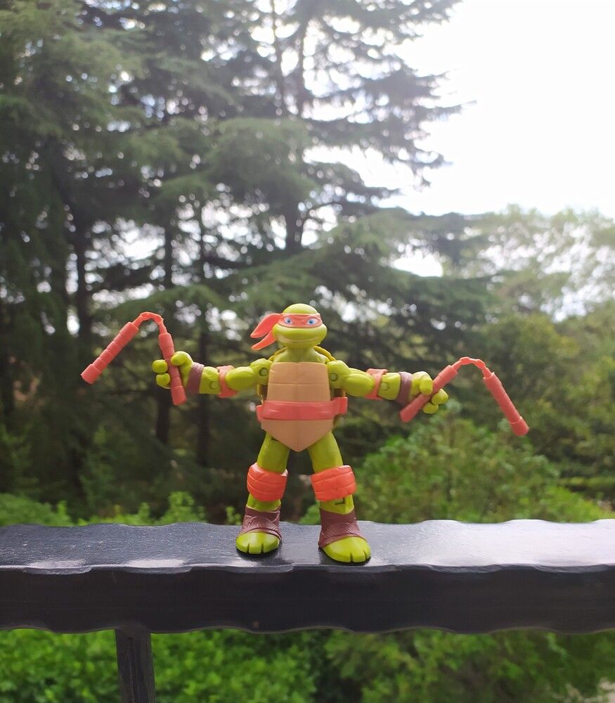 Фотография автора Елена Александрова