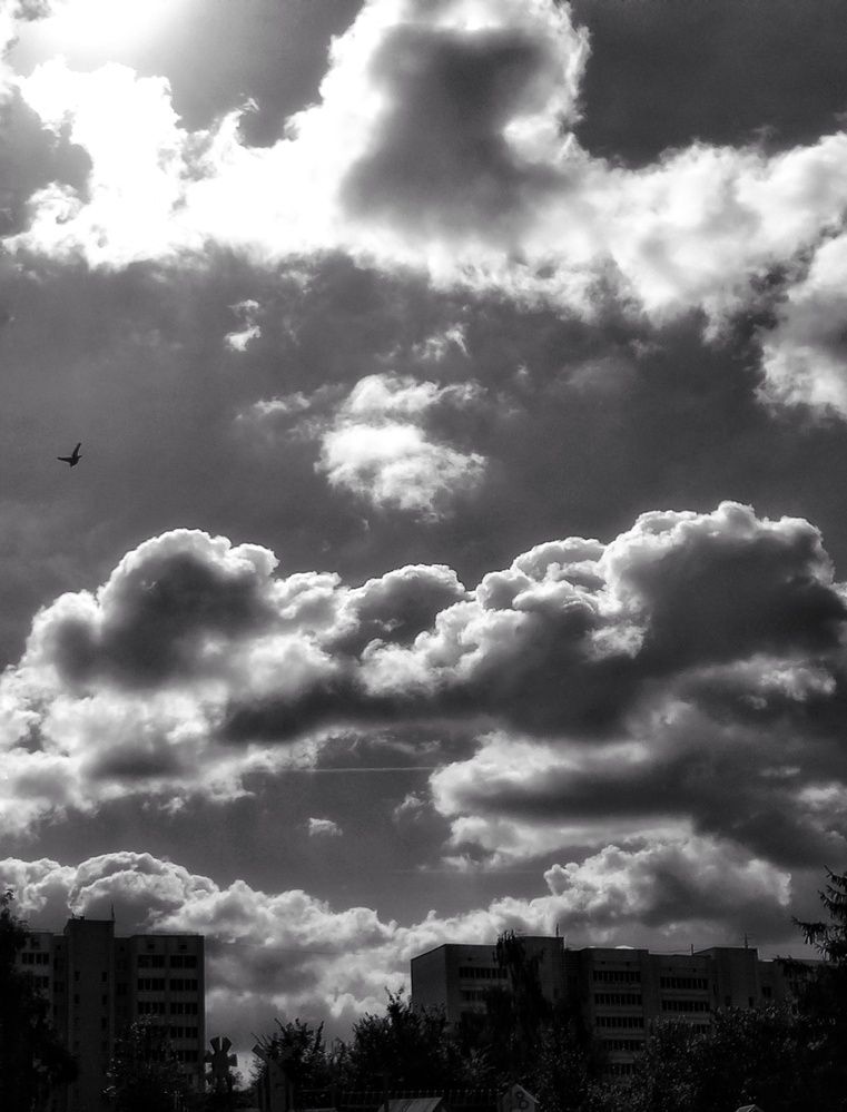 Photograph by Марина Егорова