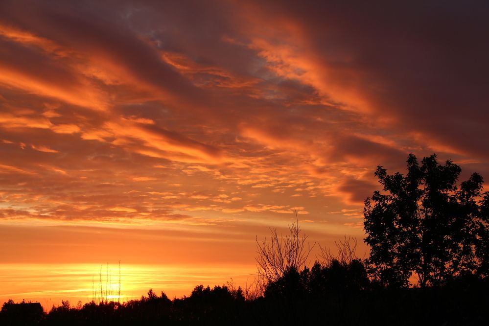 Photograph by Анастасия Бородина