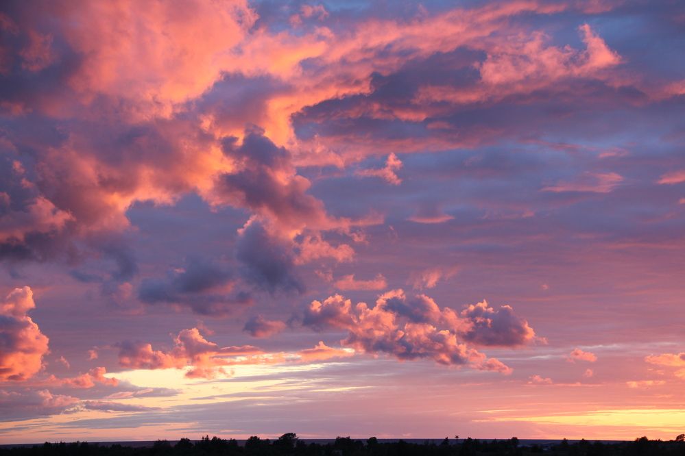 Photograph by Анастасия Бородина