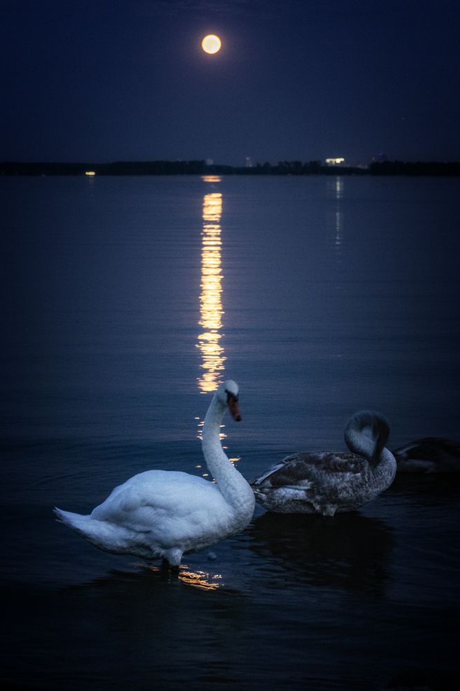 Photograph by Владимир Штыриков