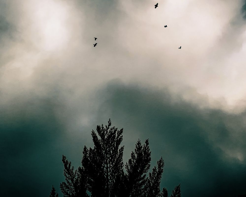 Фотография автора Sara Ali