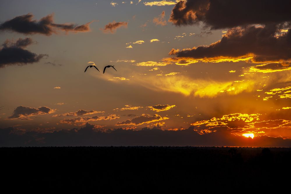 Photograph by Luiz Augusto Magina