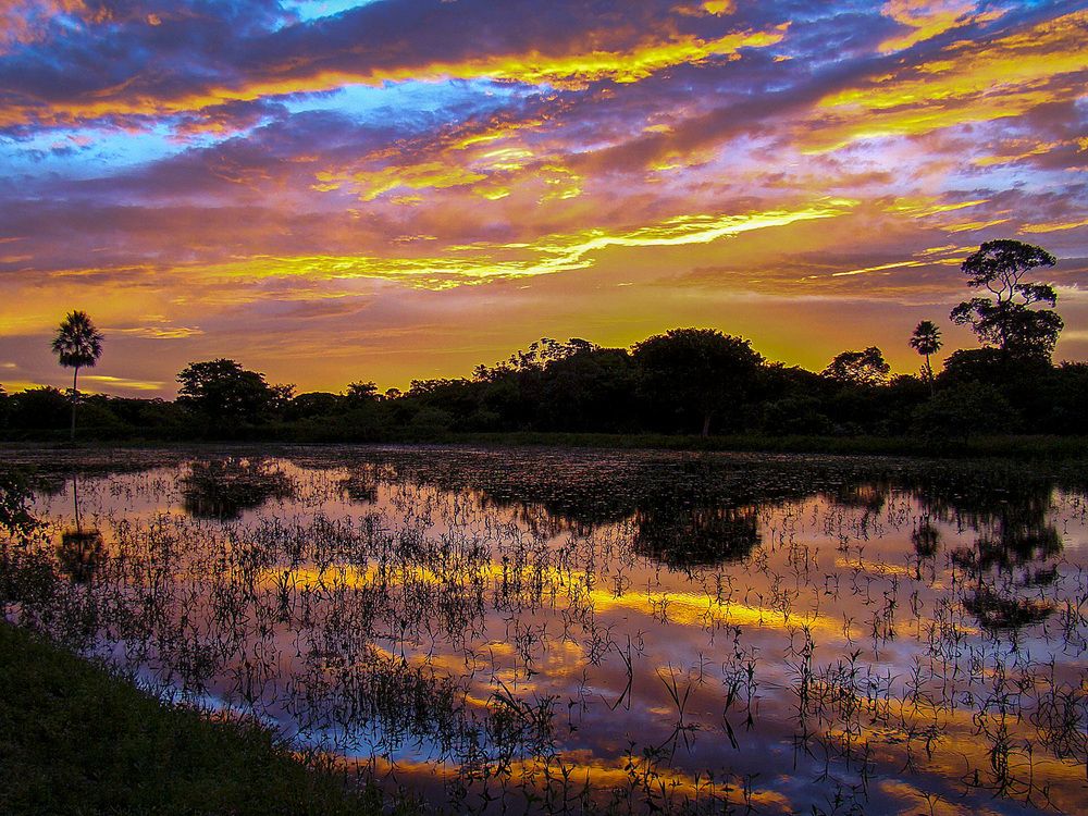Photograph by Luiz Augusto Magina