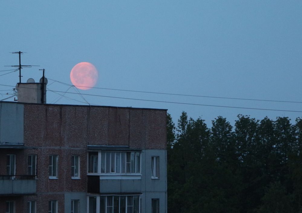 Photograph by Анастасия Бородина