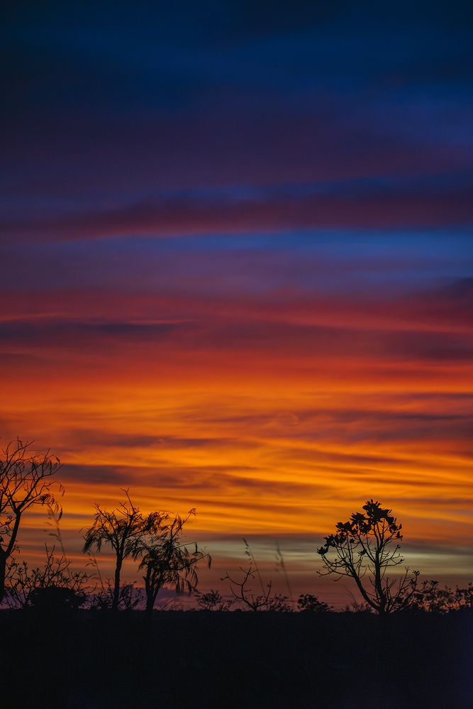 Photograph by Luiz Augusto Magina