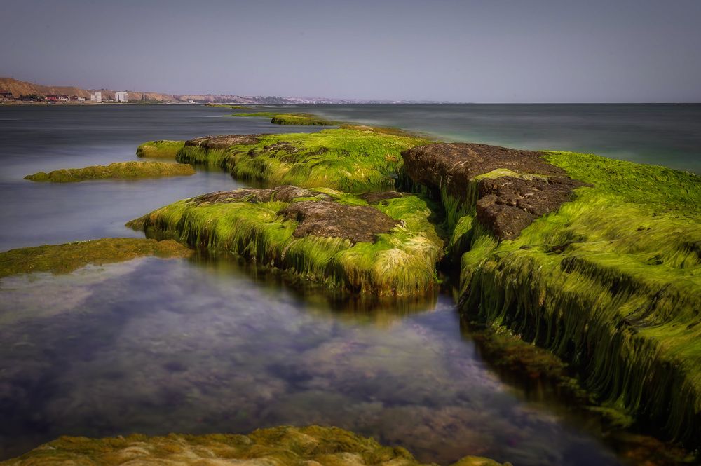 Photograph by Алексей Кознев