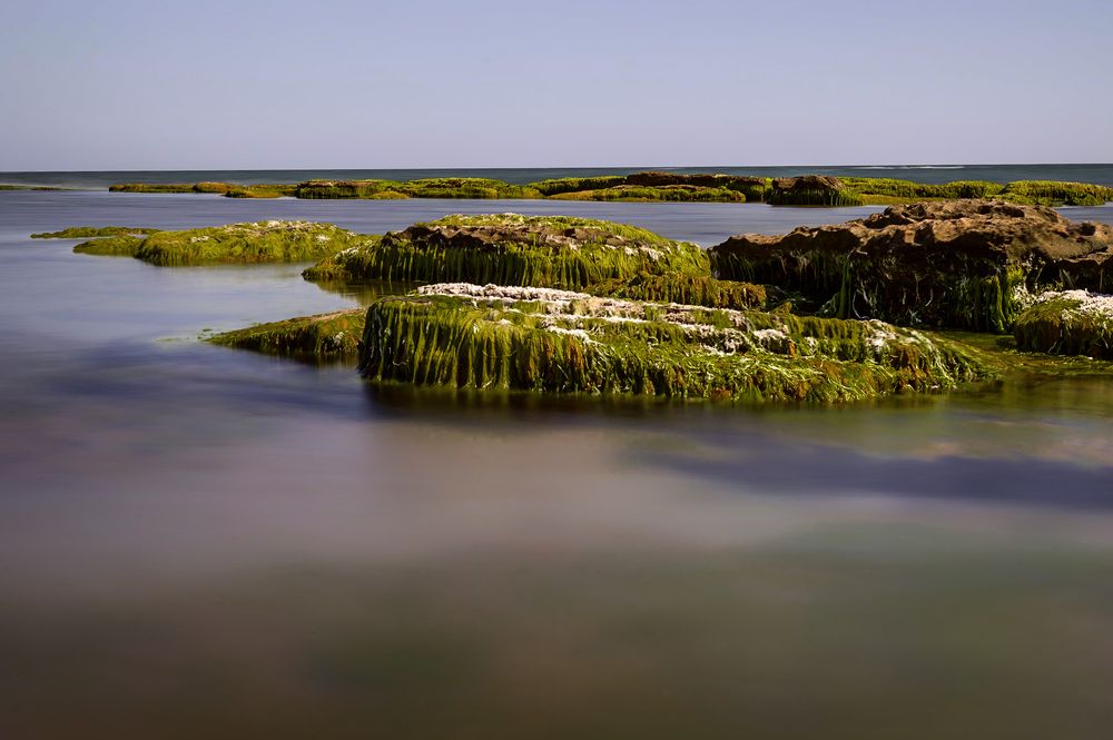 Photograph by Алексей Кознев