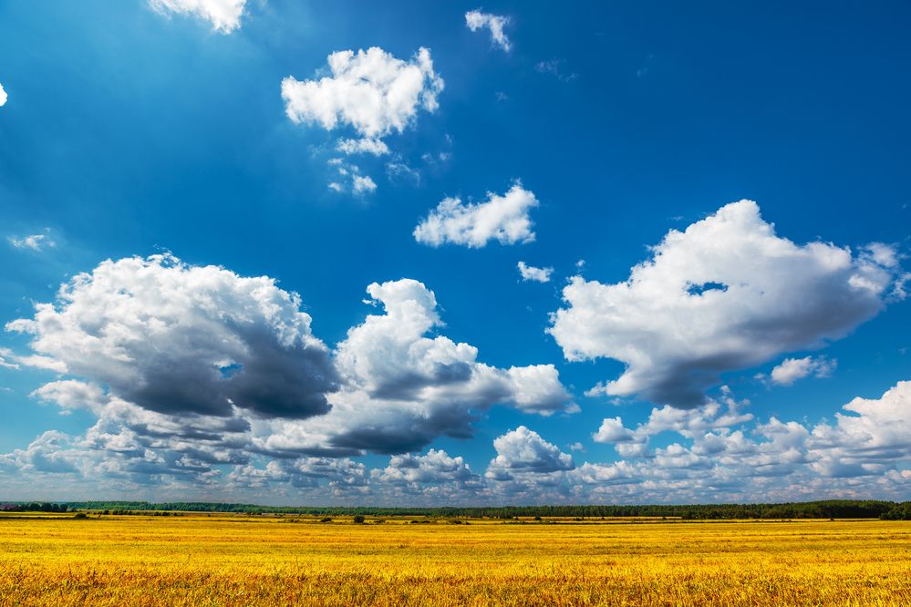 Photograph by Dmitry Yudchenko