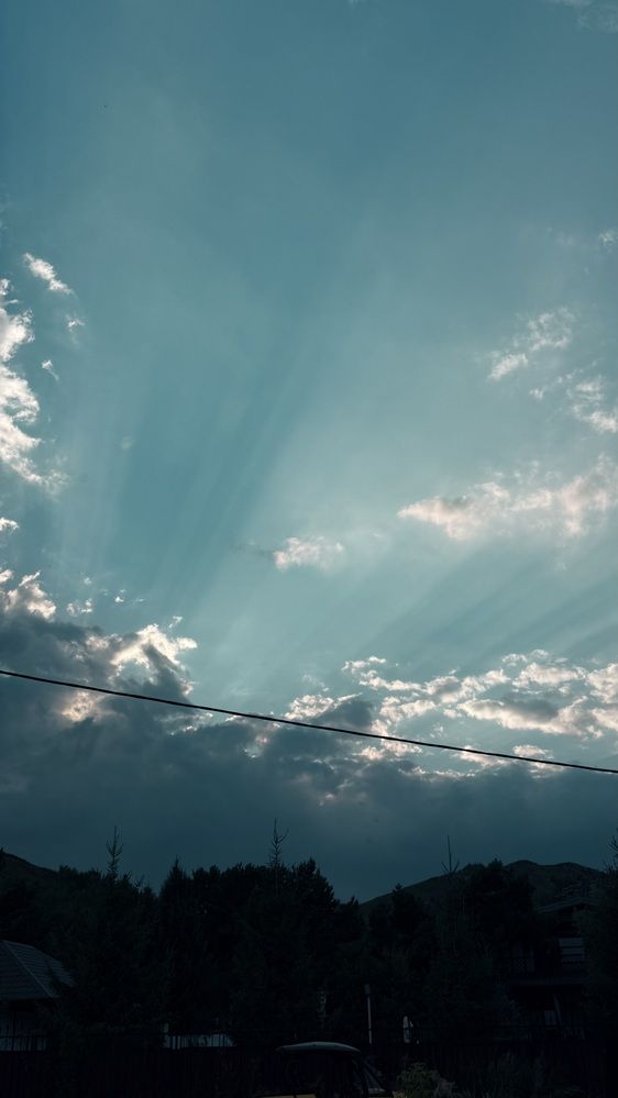 Фотография автора Анастасия Шульгина