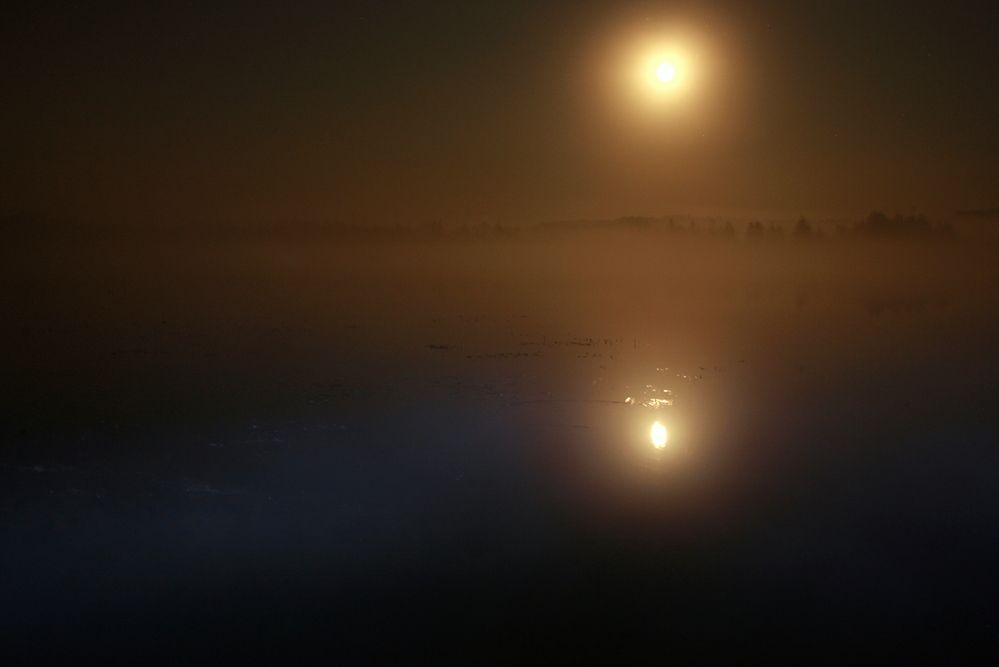 Фотография автора Nelya  Lysenko