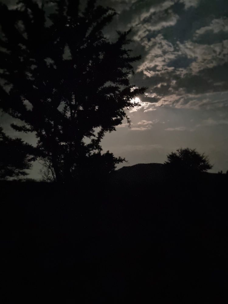 Фотография автора Rita Nel