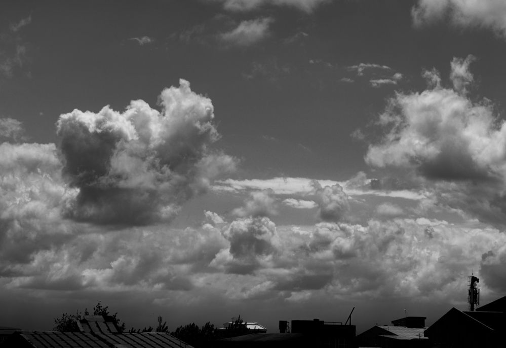 Photograph by Shima Farzaneh