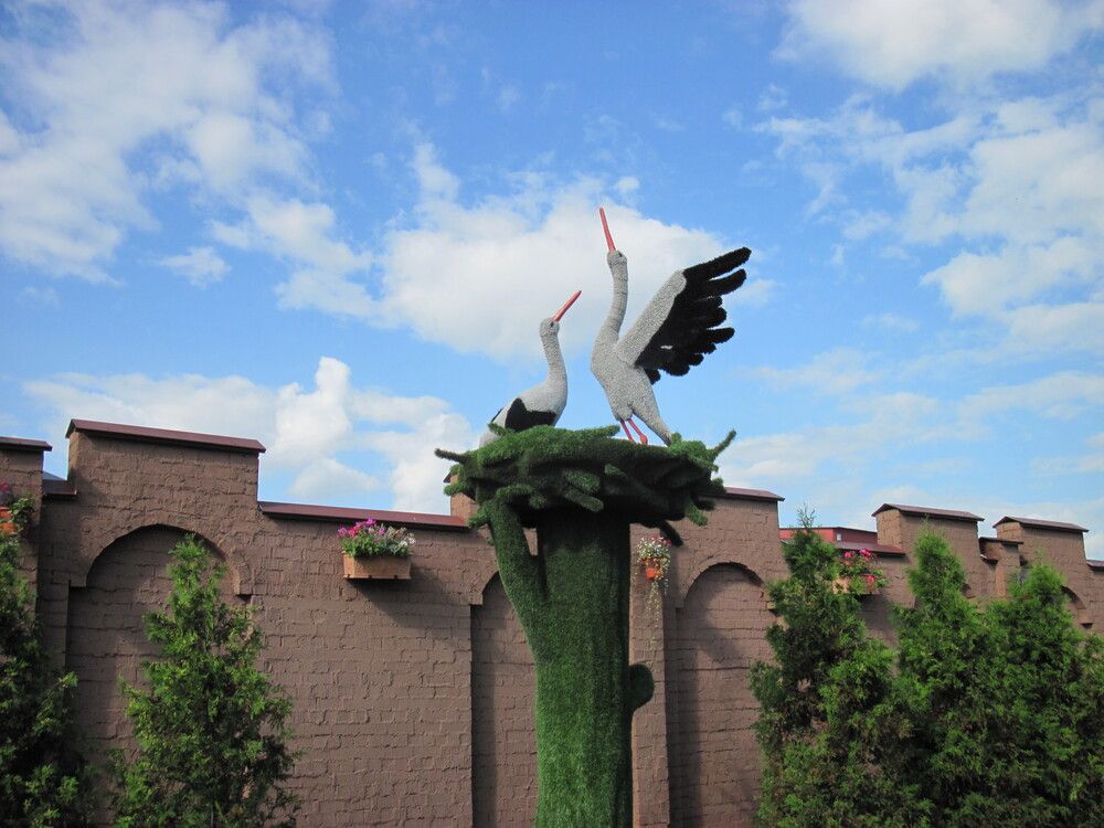 Фотография автора Георгий Самусевич