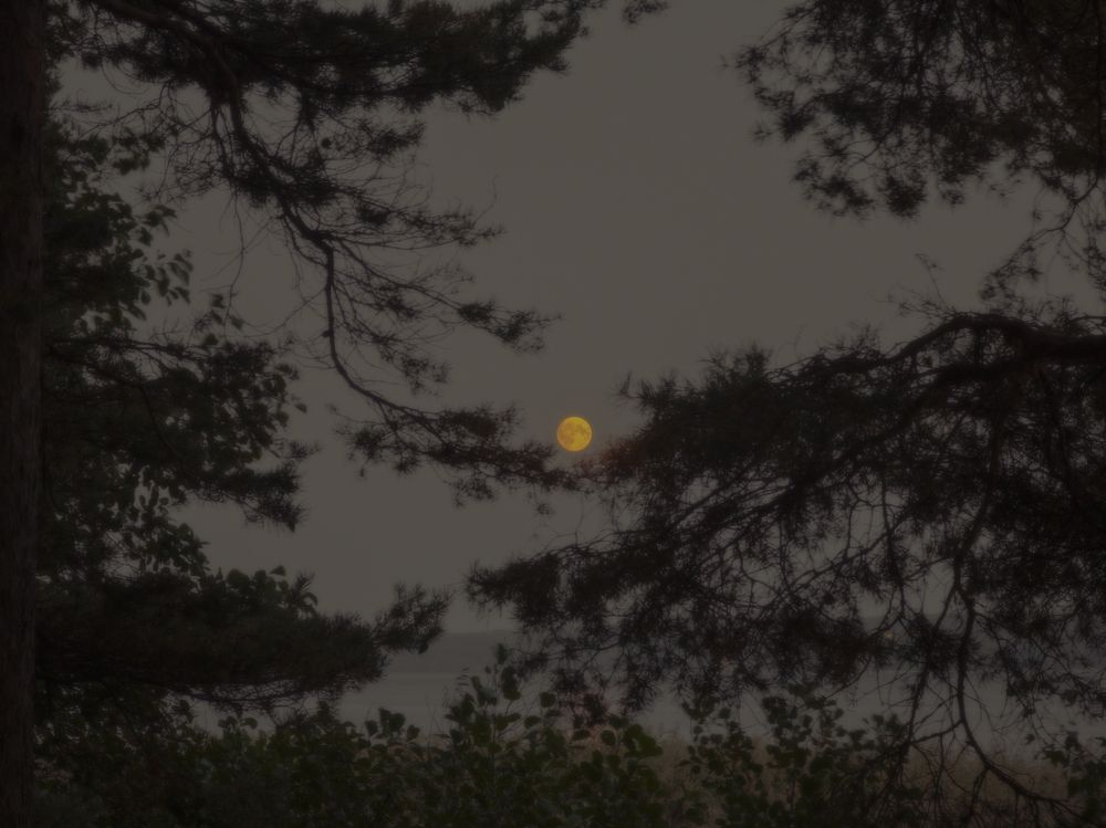 Photograph by Державин Александр