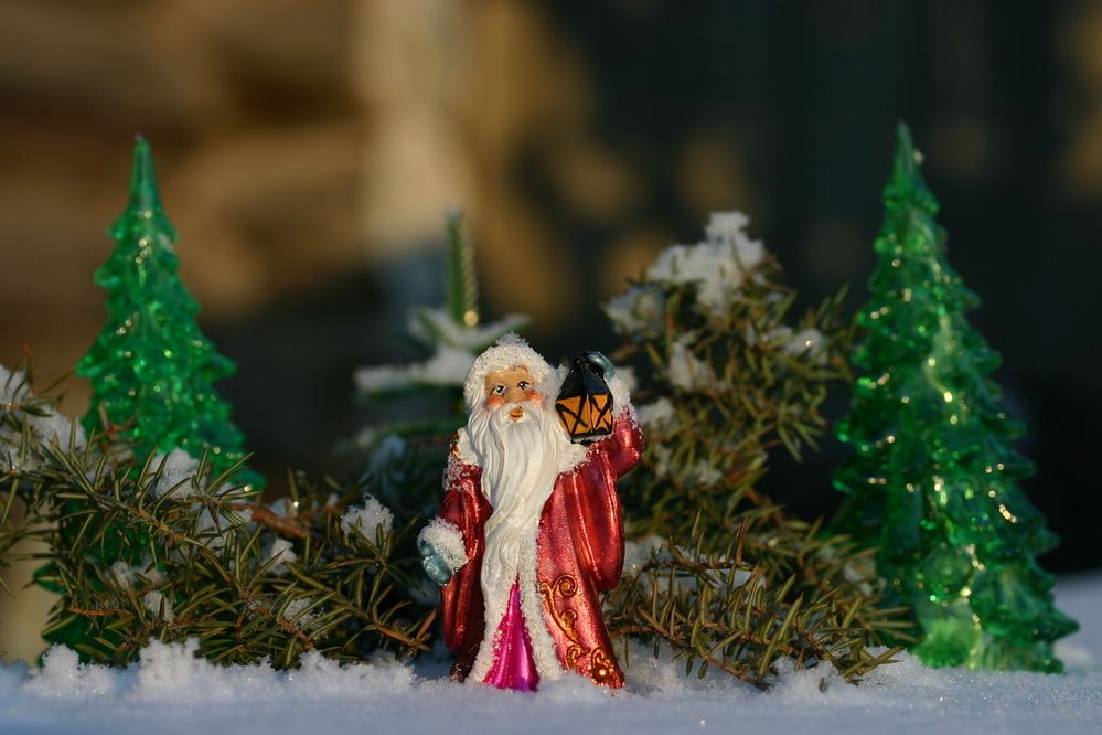 Фотография автора Nelya  Lysenko