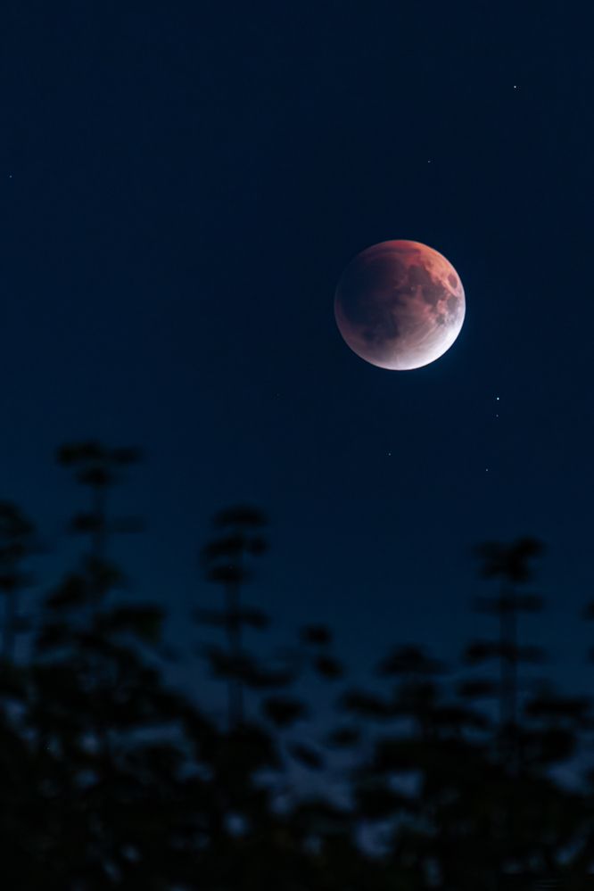 Photograph by Marie Dechene