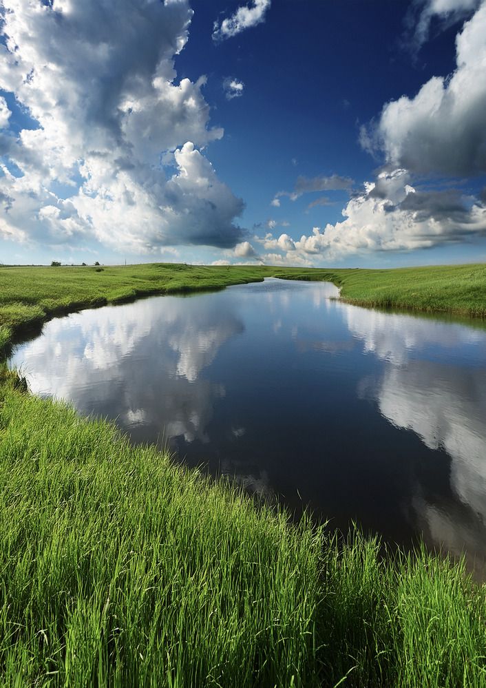 Фотография автора Pauline Jade Bolanio