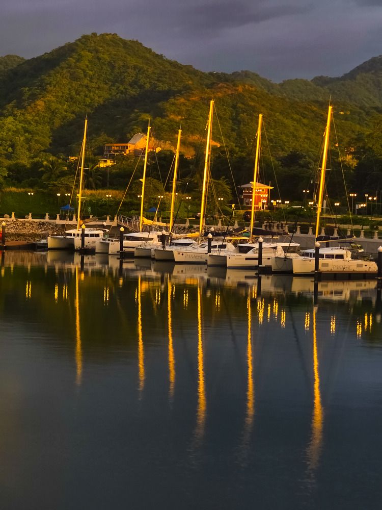 Reflejos