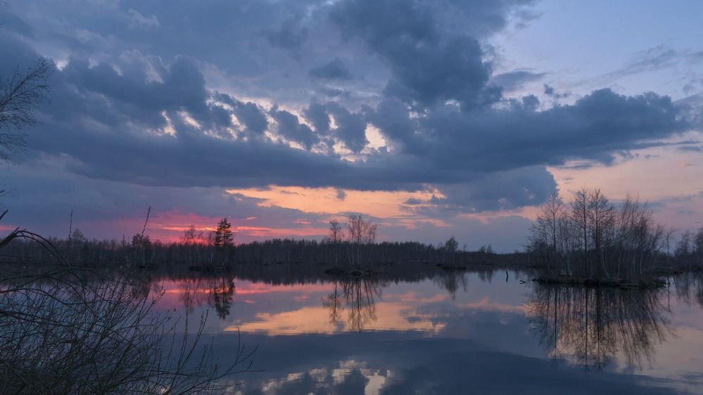 Ночь на носу — я опять на болте в лесу…