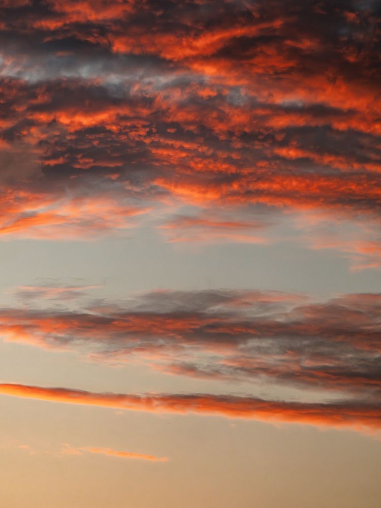 Photograph by Ирина Протченко