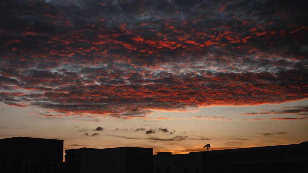 Photograph by Ирина Протченко