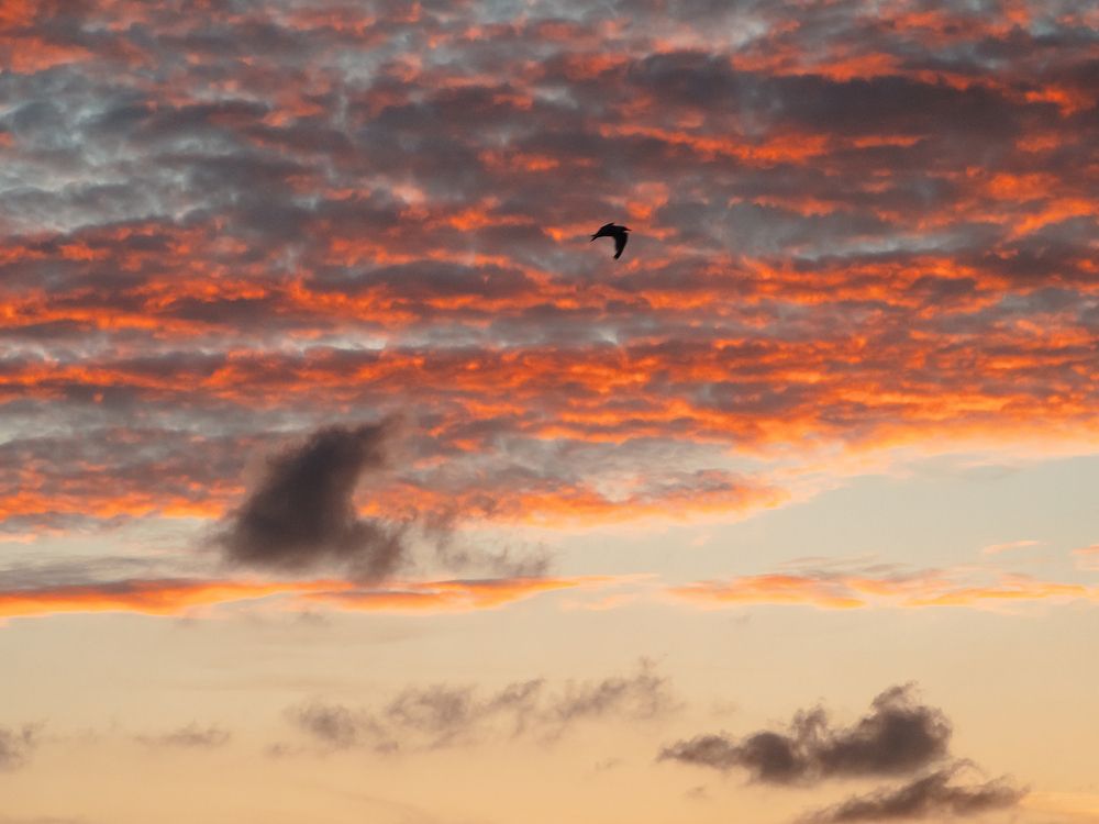 Photograph by Ирина Протченко