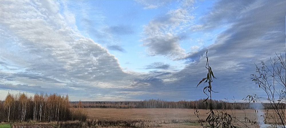 Фотография автора Неля Кочурова