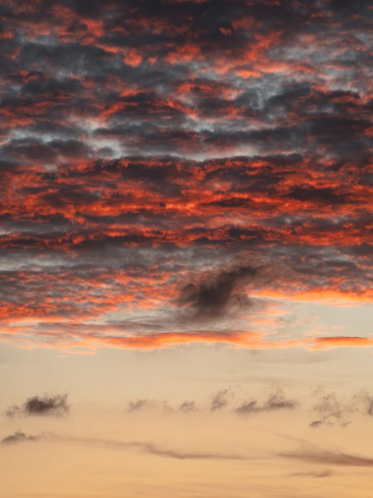 Photograph by Ирина Протченко