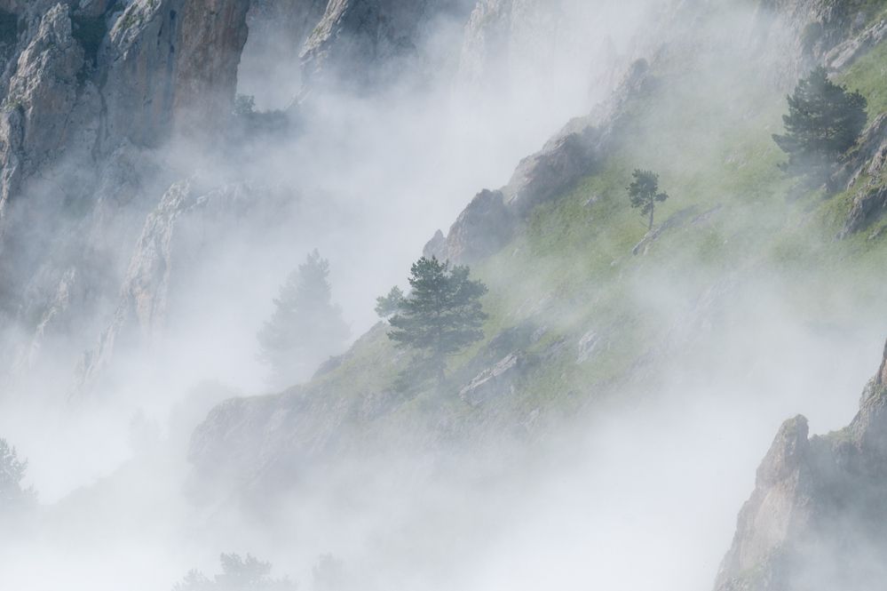 Photograph by Рамзан Давлетмирзаев