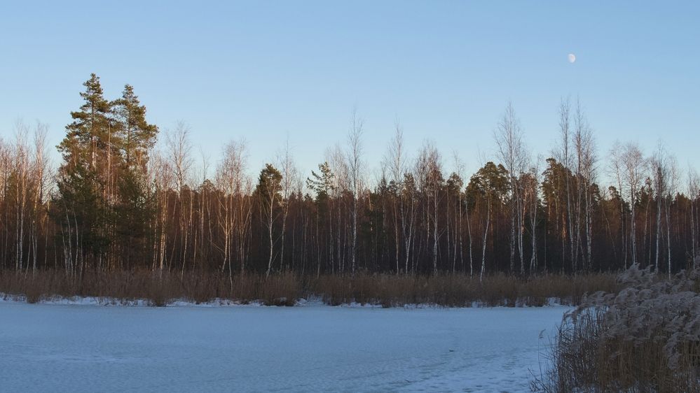 Пересменка