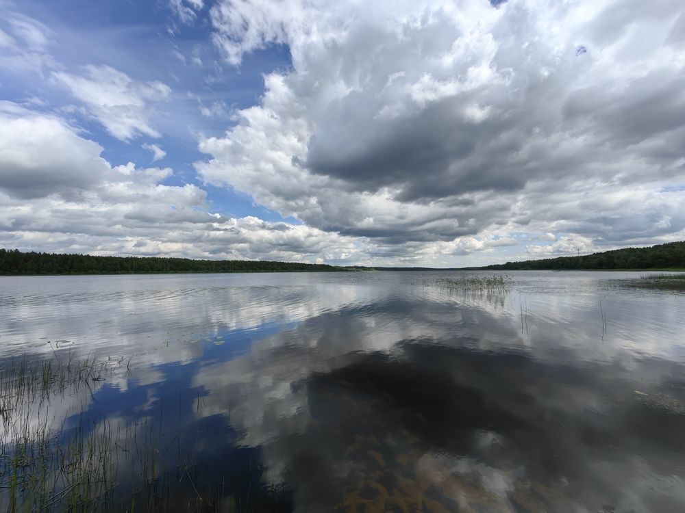 Фотография автора Наталия Нехорошева