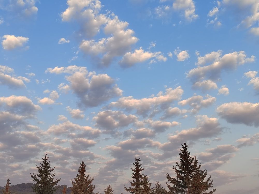 Photograph by Марина Шевцова