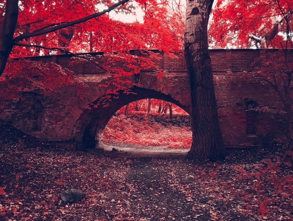 Фотография автора Евгений