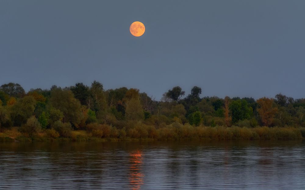 Photograph by Сергей Дишук