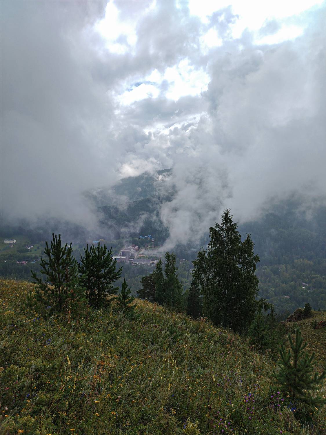 Photo #12558885