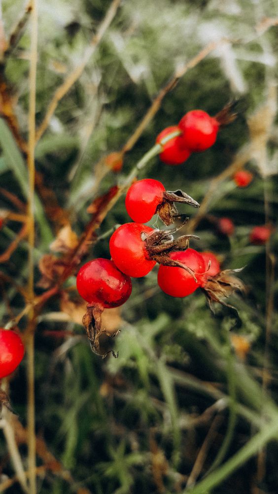 Photograph by Людмила Горячева