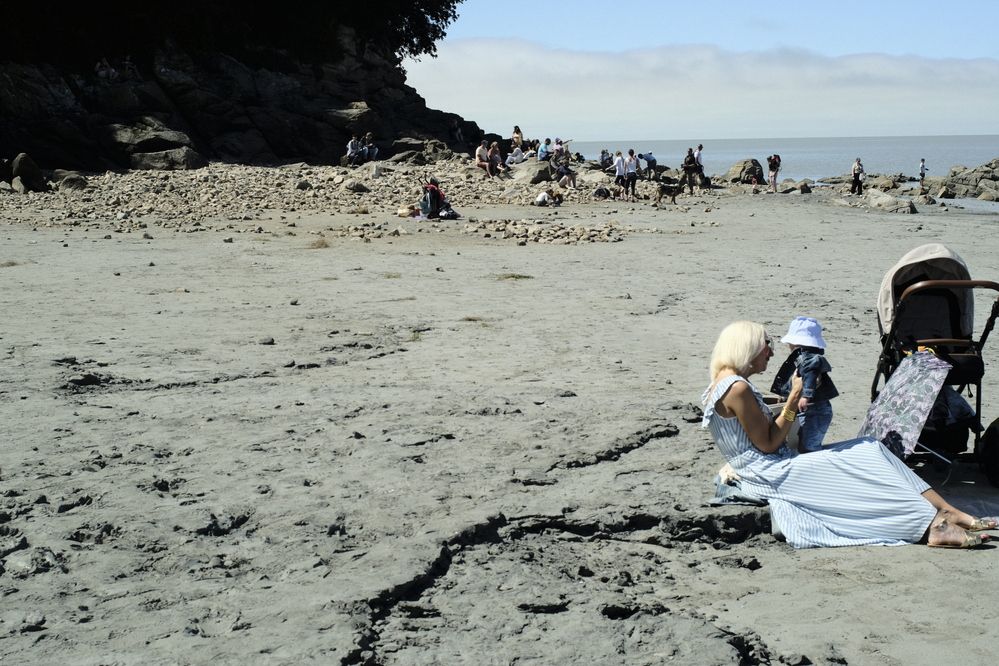 Фотография автора MAAS FABIAN