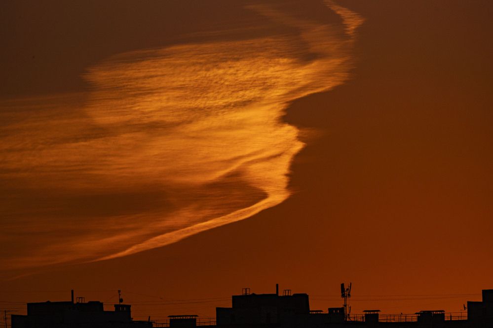 Photograph by Ольга Левакова