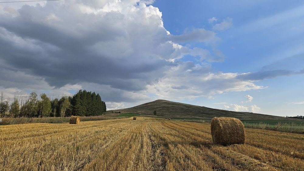 Photograph by Наталья Анисимова