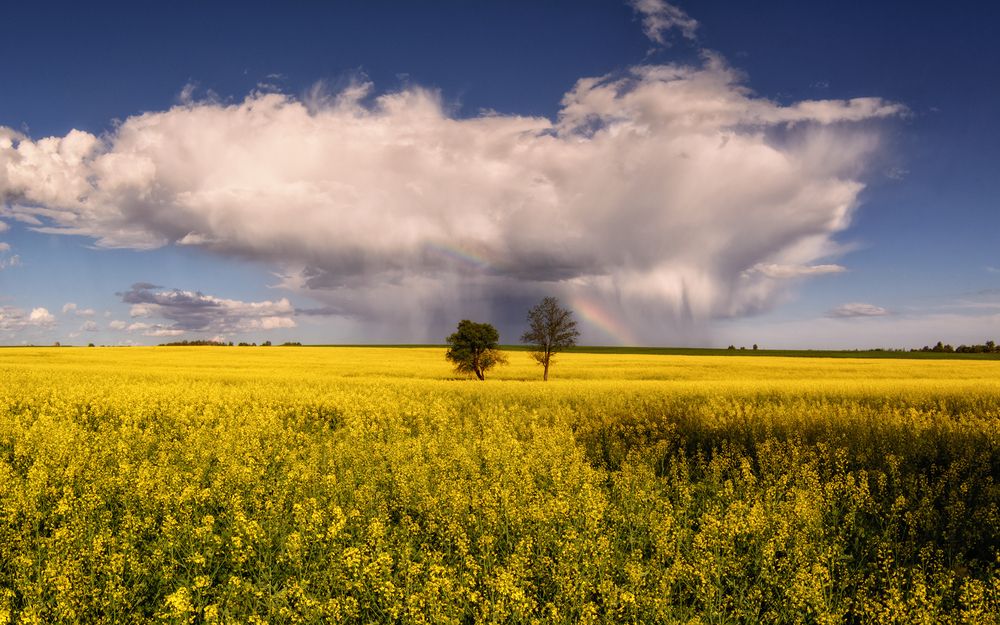 Photograph by Сергей Дишук