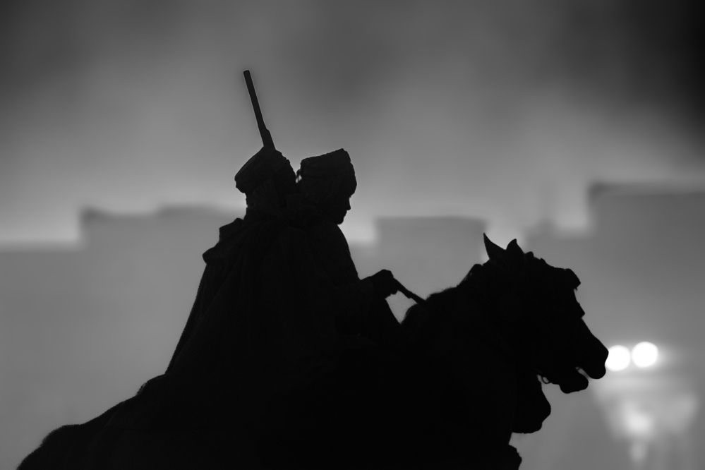 الخيل المحلي