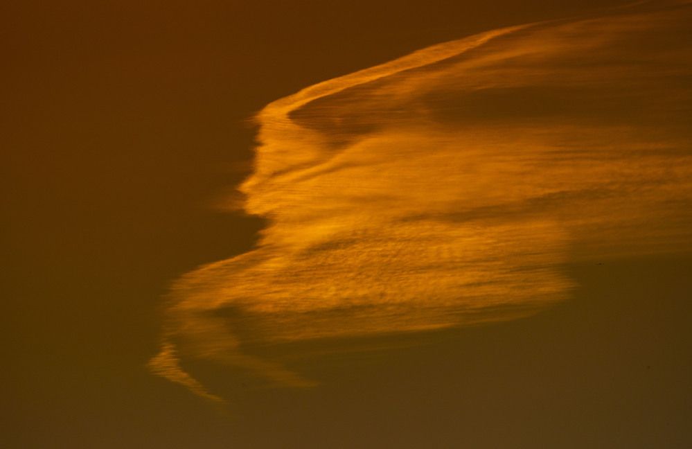 Photograph by Ольга Левакова