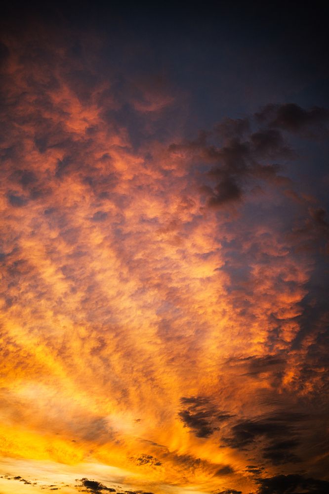 Photograph by Максим Жарких