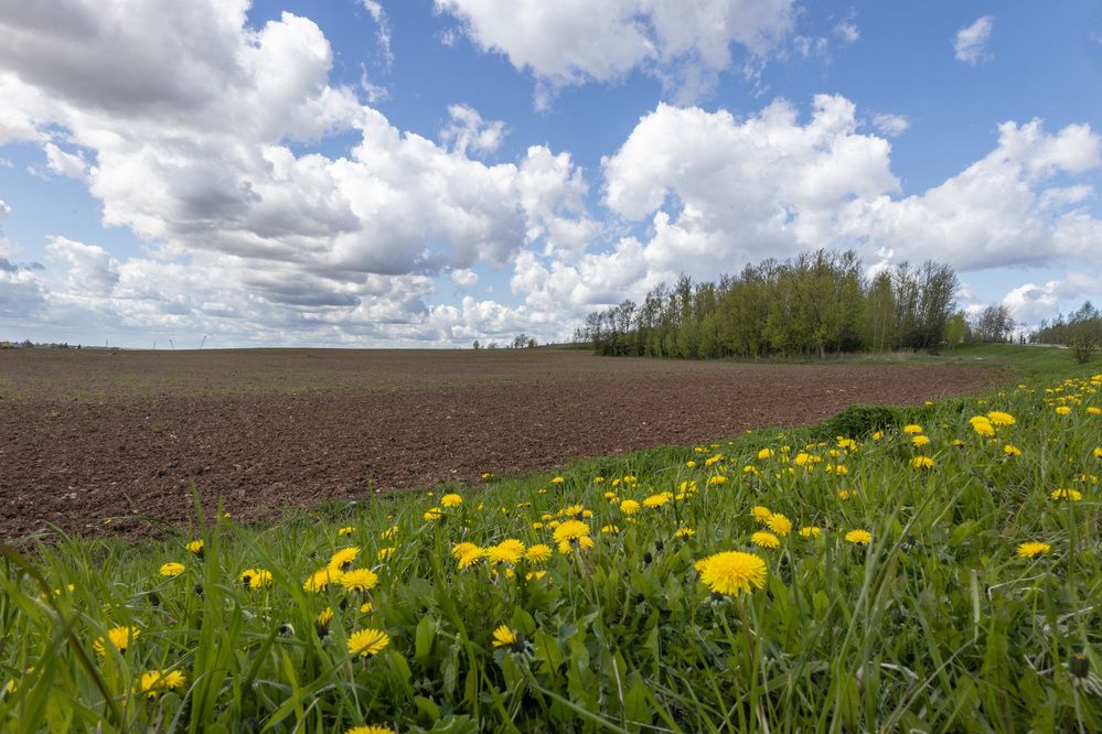 Photograph by Александр Новиков