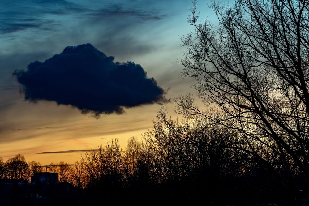 Photograph by Михаил Косолапов