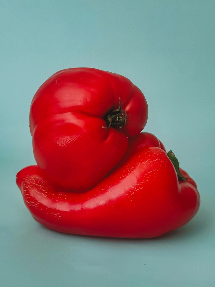 Photograph by Татьяна Пантеева