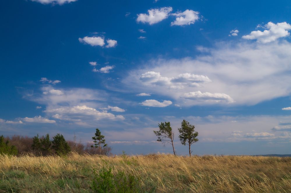 Photograph by Сергей Забиякин