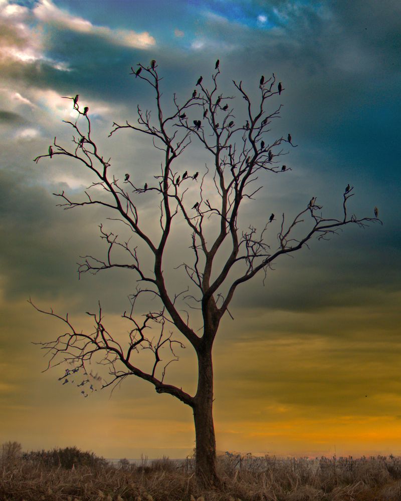 Photograph by Lev Tsenter