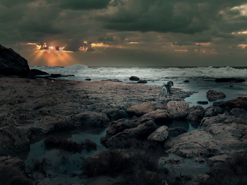 Photograph by Lev Tsenter